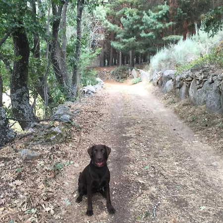 Mi Casita De Gredos Prázdninový dům *