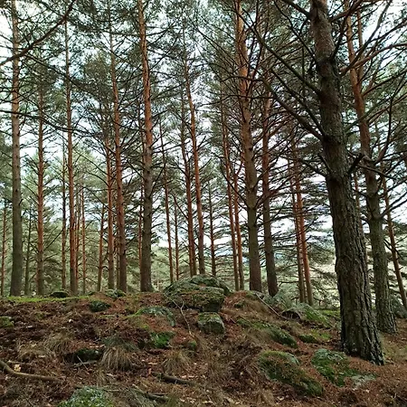 Holiday home Mi Casita De Gredos *