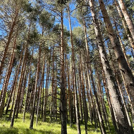 Mi Casita De Gredos Prázdninový dům Hoyocasero