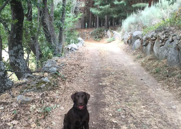 Mi Casita De Gredos Hébergement de vacances *