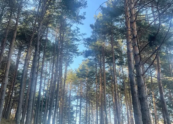 Hébergement de vacances Mi Casita De Gredos Hoyocasero
