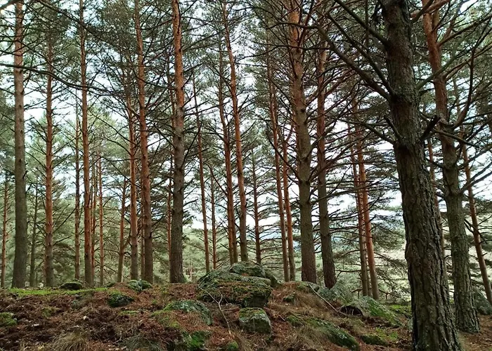 Hébergement de vacances Mi Casita De Gredos *