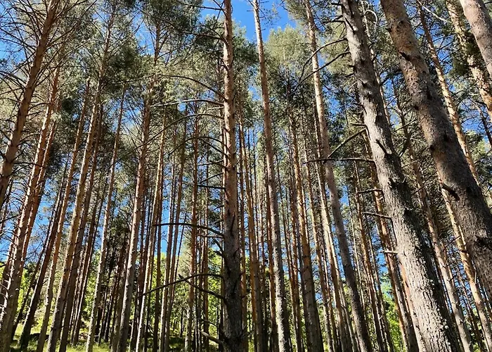 Mi Casita De Gredos Hébergement de vacances Hoyocasero